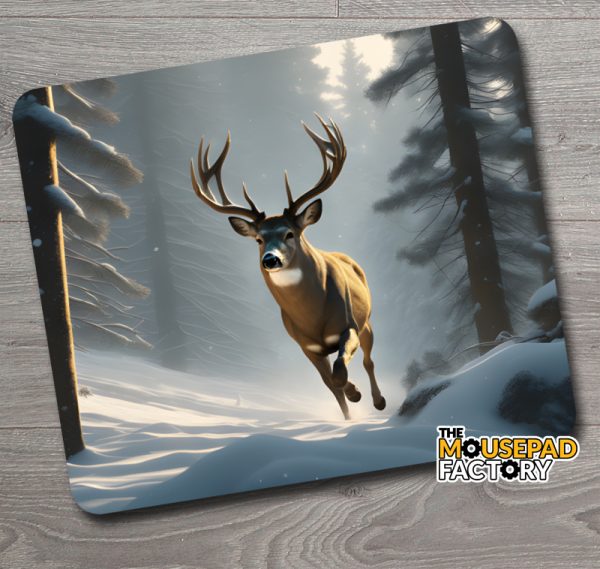 white-tailed deer buck