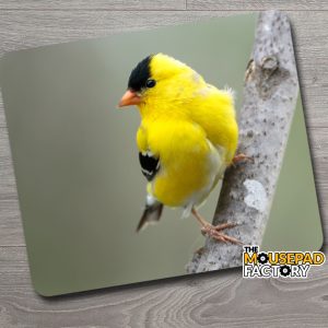 American Goldfinch Male Bird Mouse Pad