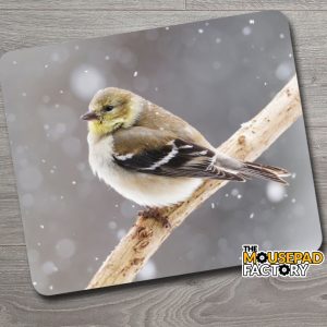 American Goldfinch Female Bird Mouse Pad