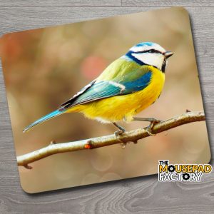 Blue Tit Bird Mouse Pad