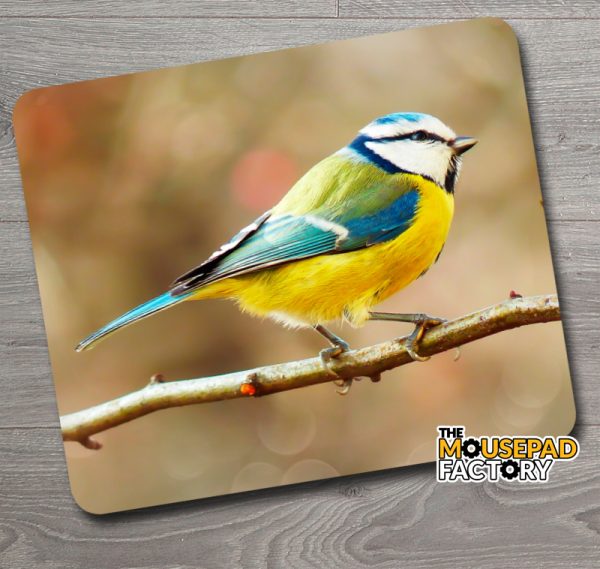 Blue Tit Bird Mouse Pad