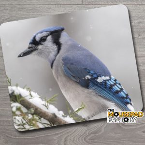 Blue Jay Bird Mouse Pad
