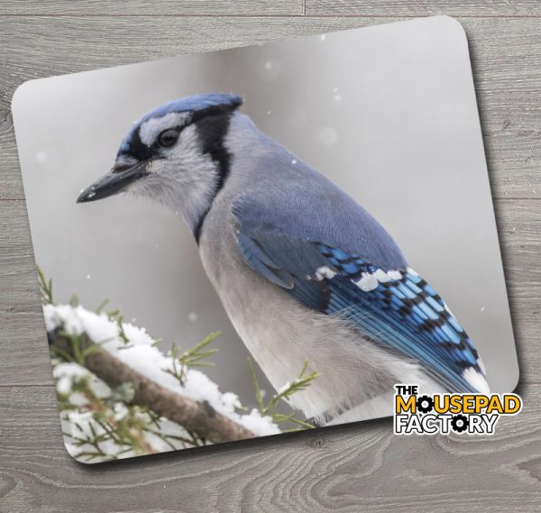 Blue Jay Bird Mouse Pad