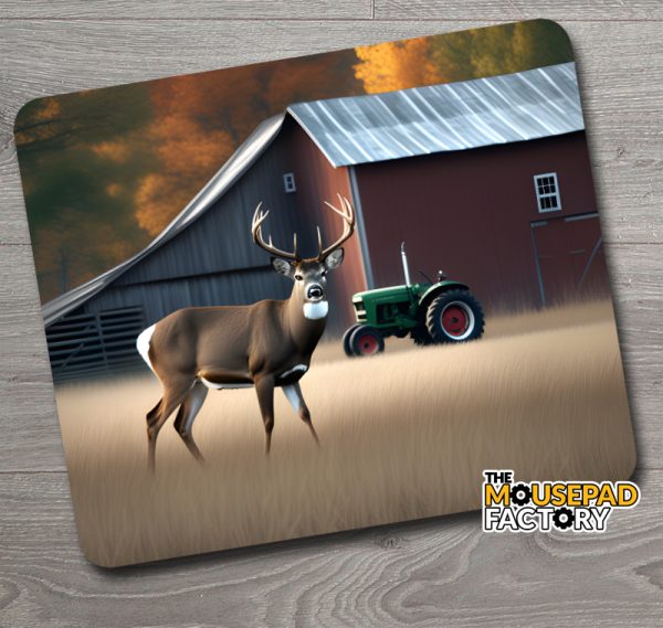 White-tailed Deer Buck