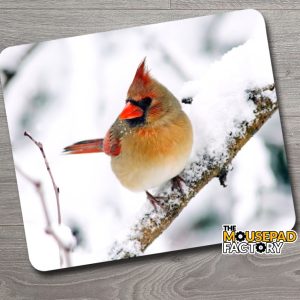 Female Cardinal Bird Mouse Pad