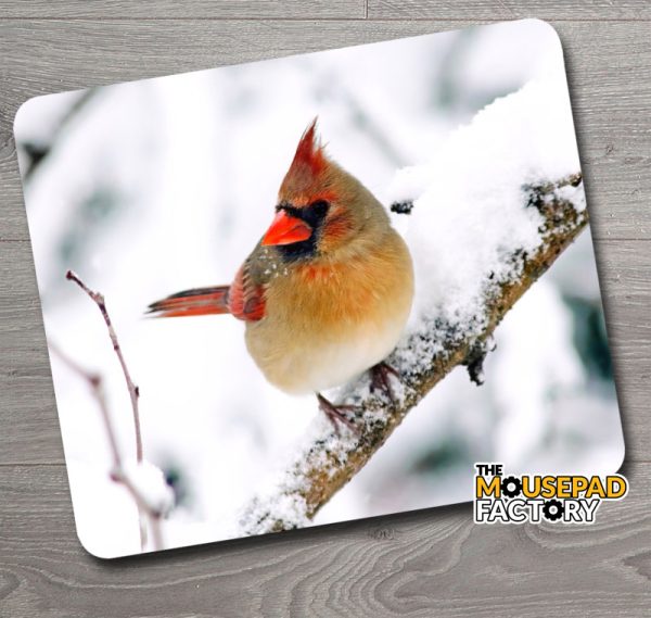Female Cardinal Bird Mouse Pad