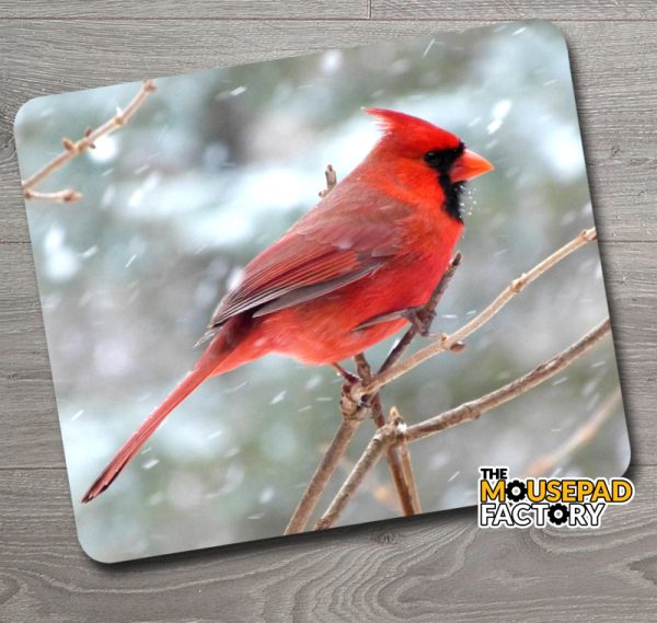 Red Cardinal Bird Mouse Pad