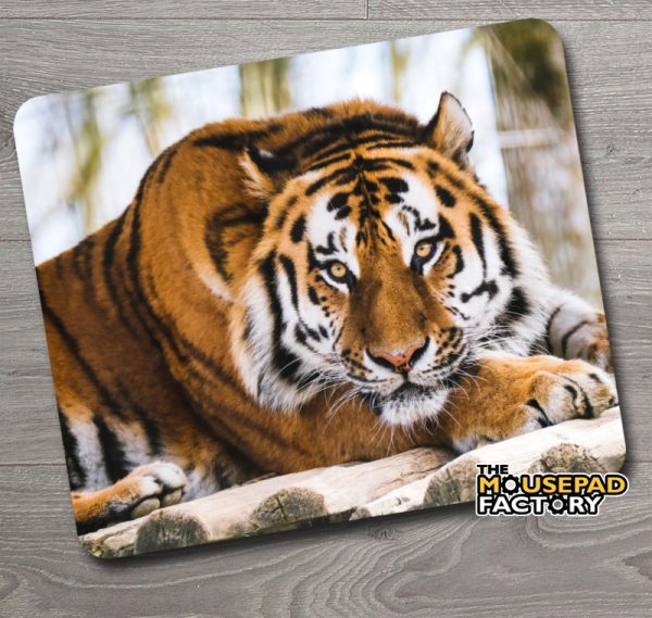 Bengal Tiger Relaxing Mouse Pad