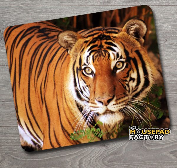 Bengal Tiger Mouse Pad