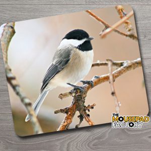 Black-capped Chickadee Bird Mouse Pad