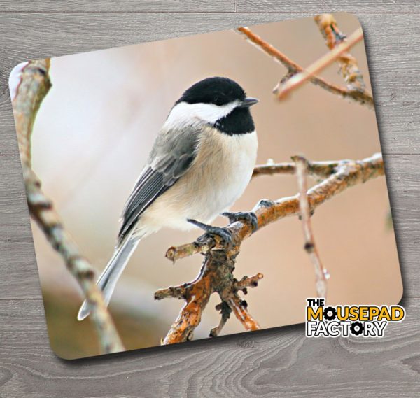 Black-capped Chickadee Bird Mouse Pad