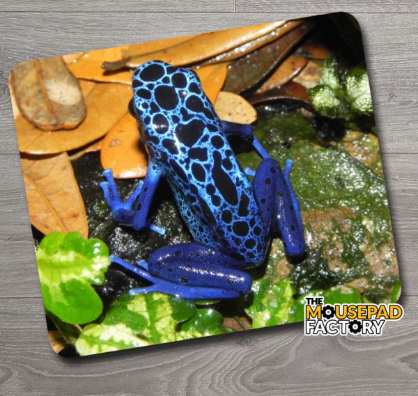 Poison Dart Frog Blue Mouse Pad