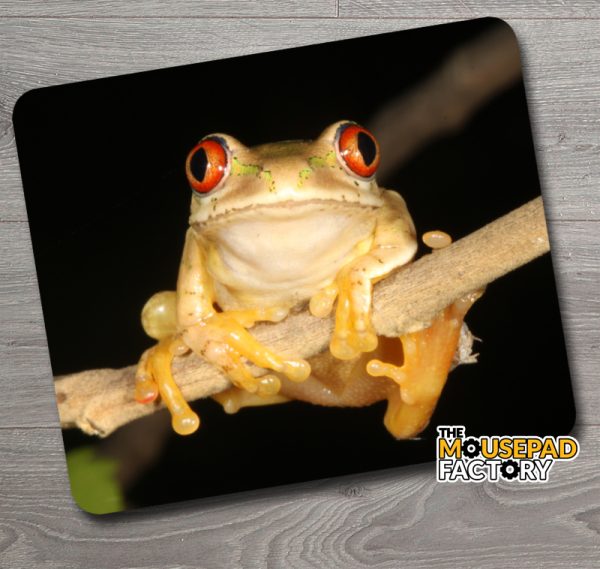 Red Eyed Tree Frog Mouse Pad