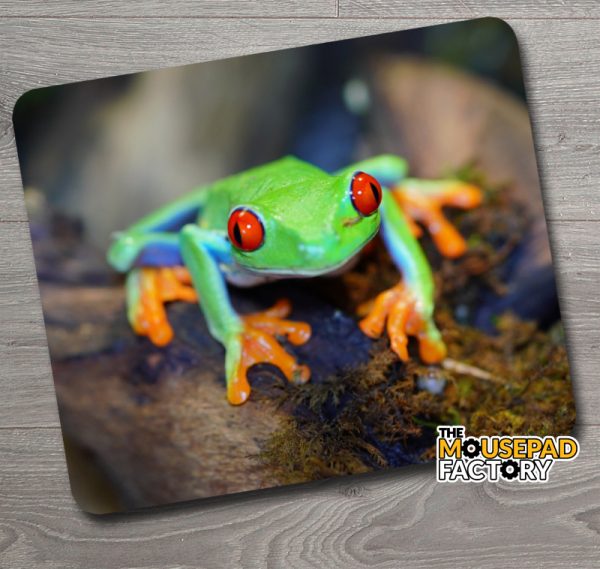 Red Eyed Green Tree Frog Mouse Pad