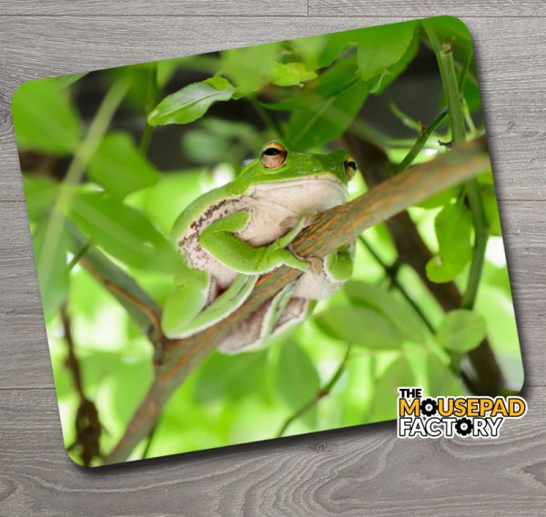 Camouflaged Tree Frog Mouse Pad
