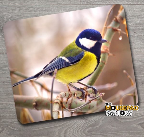 Great Tit Bird Mouse Pad