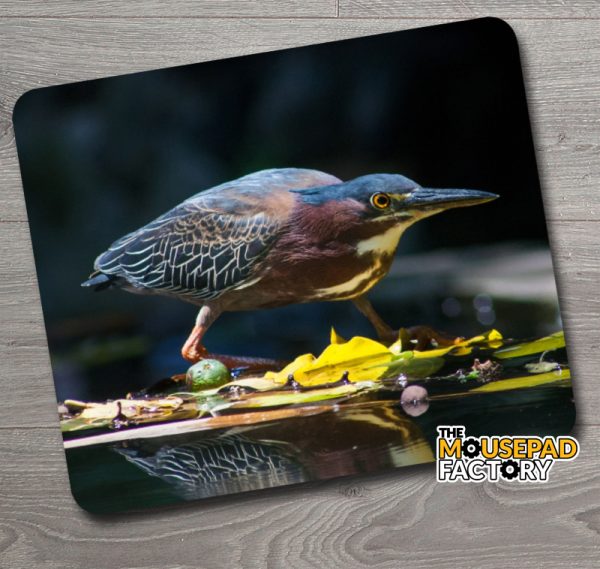 Green Heron Mouse Pad