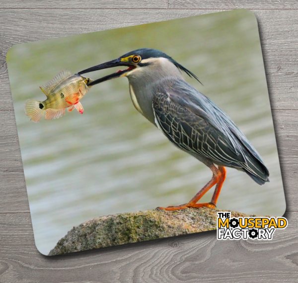 Green Heron with Fish Mouse Pad