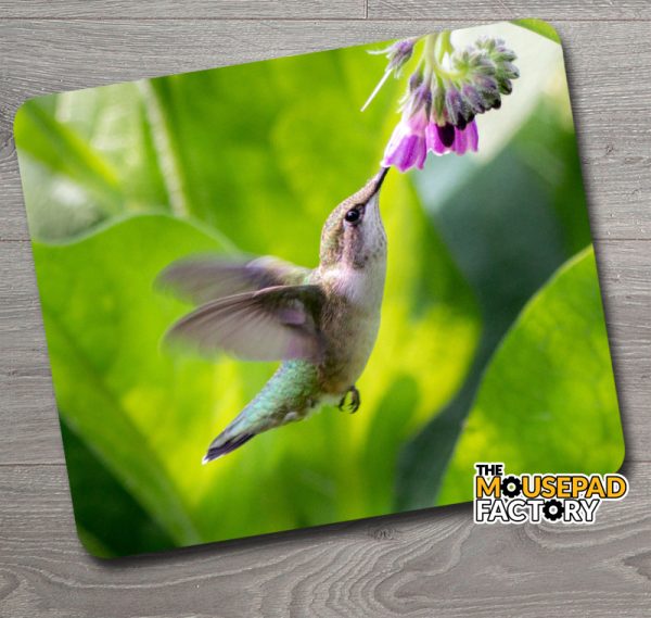 Hummingbird with Flower Mouse Pad