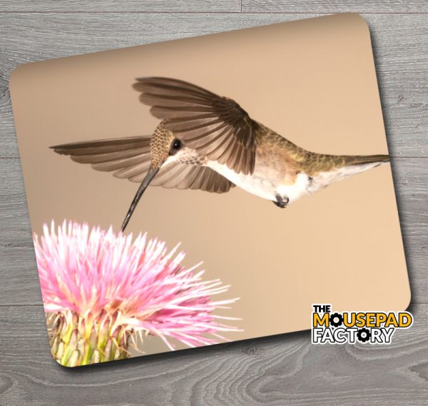 Hummingbird with Thistle Flower Mouse Pad