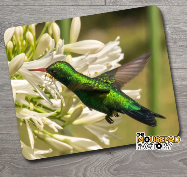 Hummingbird Emerald Green Mouse Pad