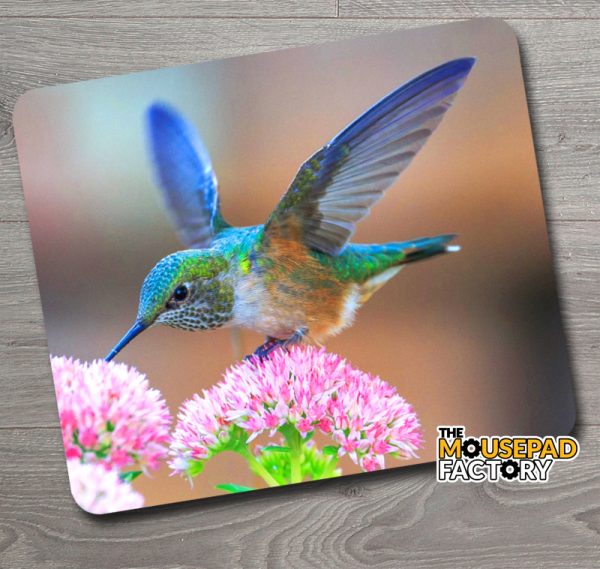 Hummingbird feeding on Flowers Mouse Pad