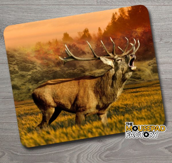 Bull Elk in Rutt Mouse Pad