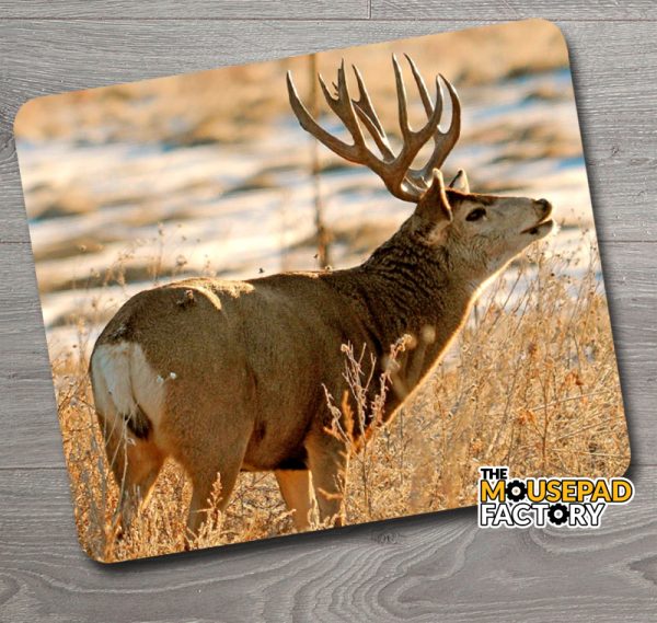 Mule Deer Buck Mouse Pad