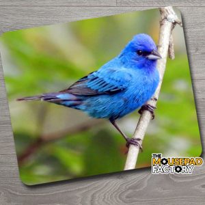 Indigo Bunting Bird Mouse Pad