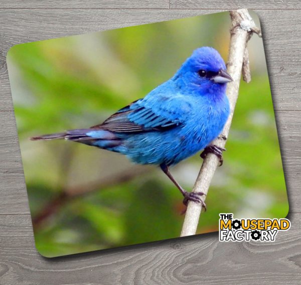 Indigo Bunting Bird Mouse Pad