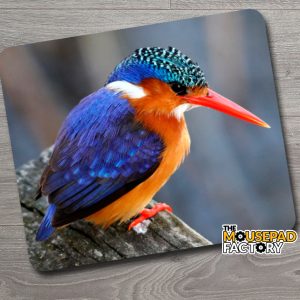 Malachite Kingfisher Mouse Pad