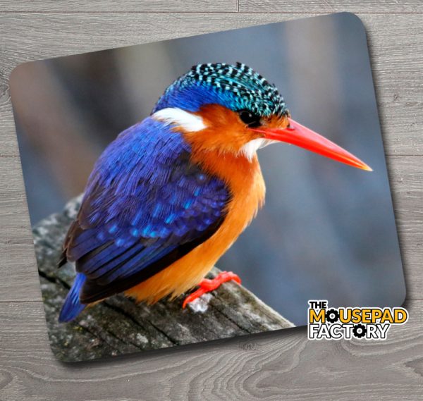 Malachite Kingfisher Mouse Pad