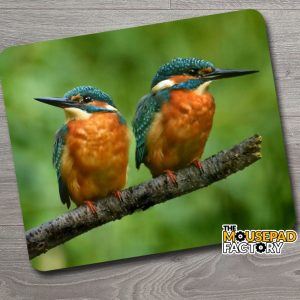 Kingfisher Pair Mouse Pad