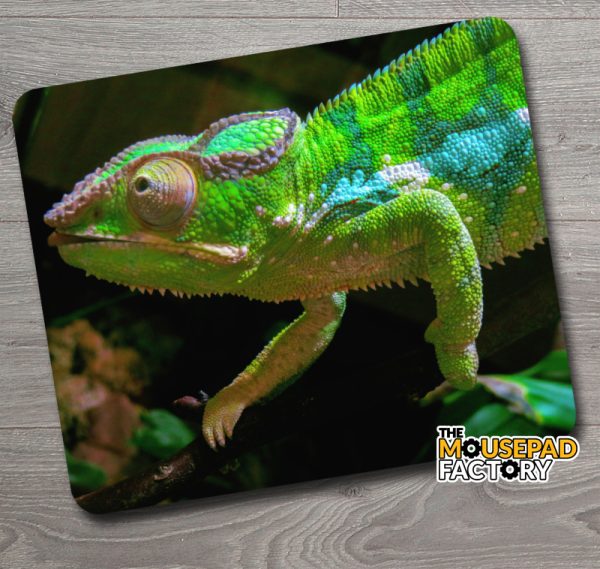Chameleon Mouse Pad