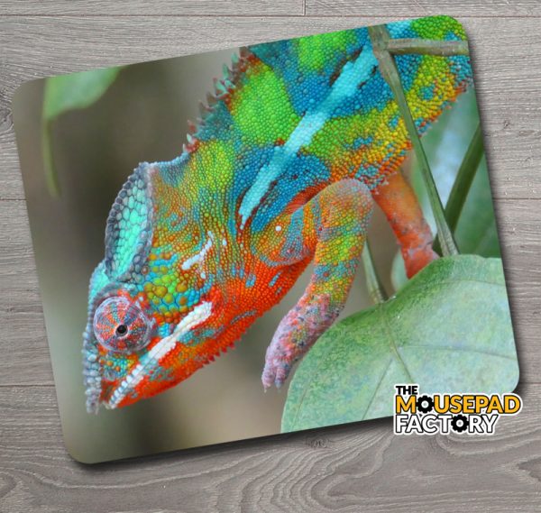 Chameleon in Camouflage Mouse Pad
