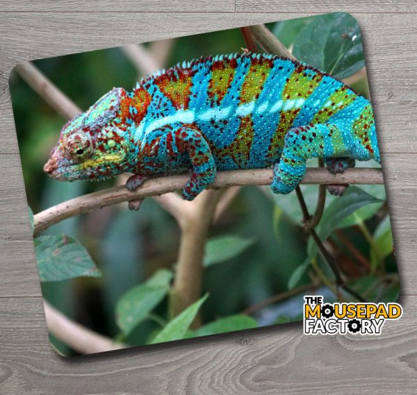 Blue Chameleon Camouflage Mouse Pad