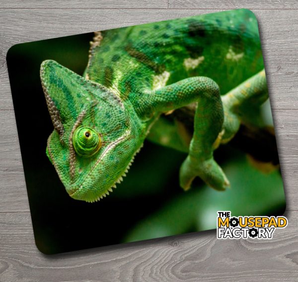 Green Chameleon Camouflage Mouse Pad
