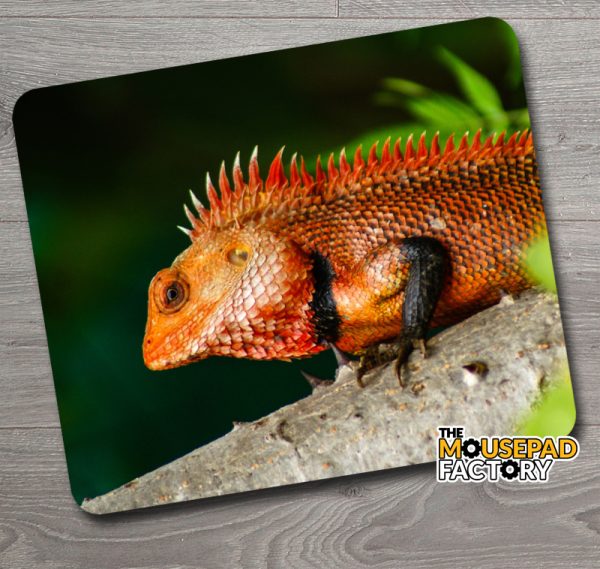 Red Crested Lizard Mouse Pad