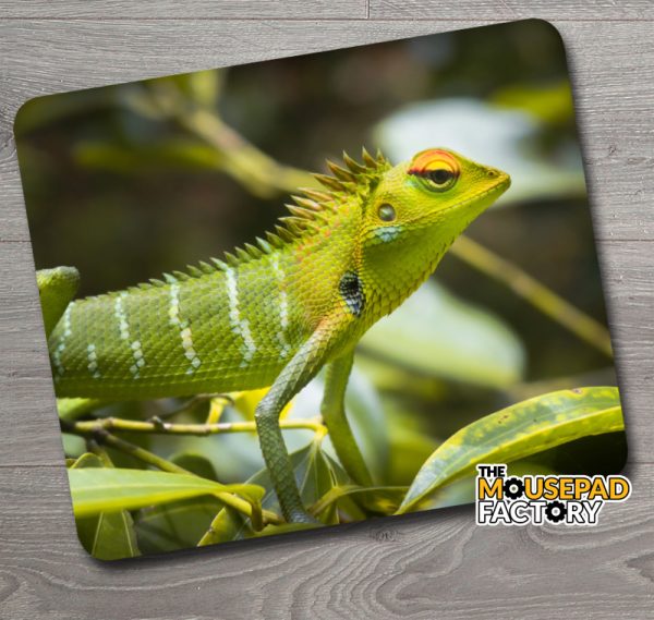 Green Crested Lizard Mouse Pad