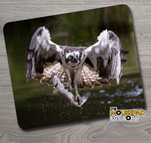 Osprey with Fish Mouse Pad