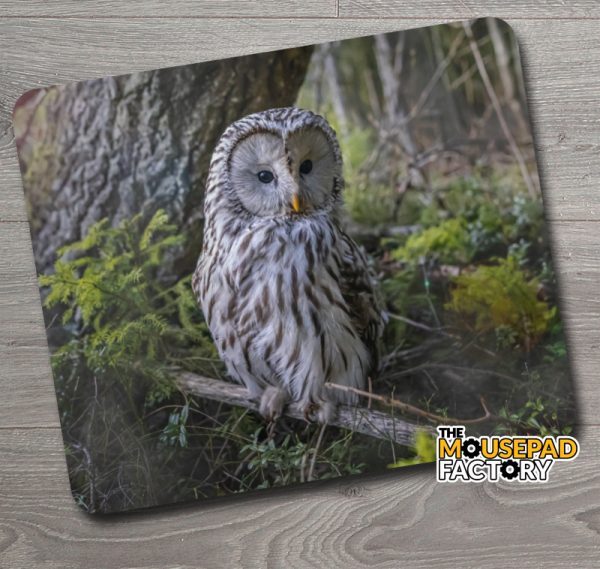 Barred Owl Mouse Pad