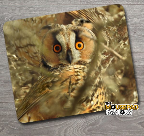 Long Eared Owl Mouse Pad
