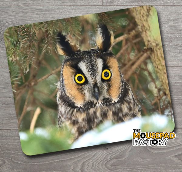 Long Eared Owl Alert Mouse Pad