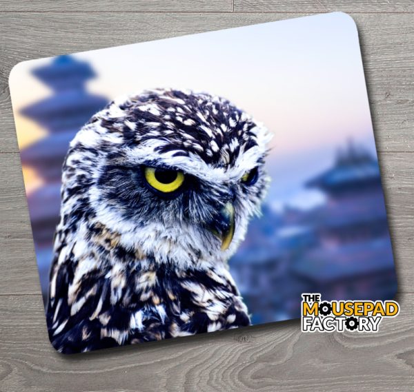 Owl in China Mouse Pad