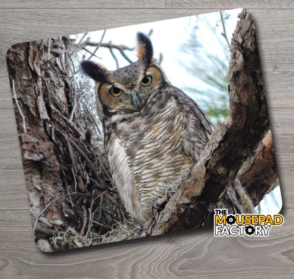 Great Horned Owl Mouse Pad