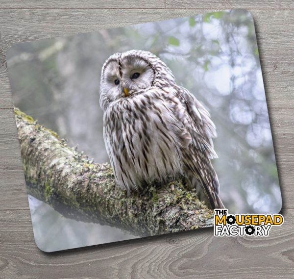 Barred Owl Woods Mouse Pad