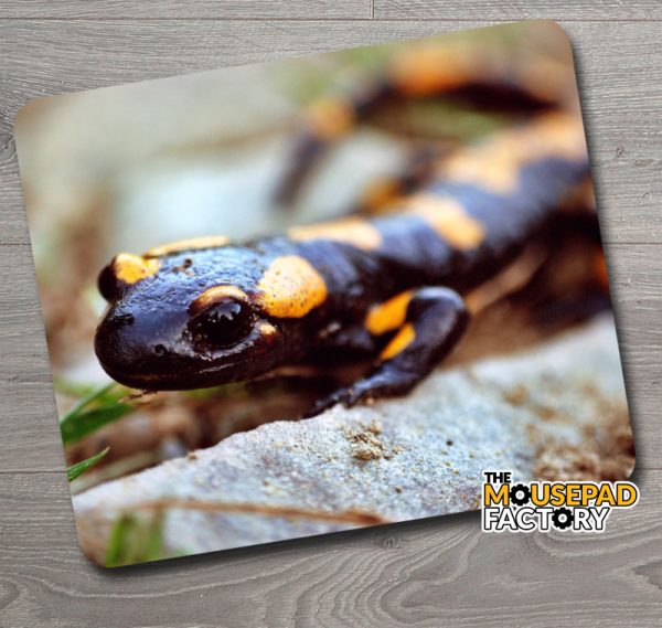 Fire Salamander Mouse Pad