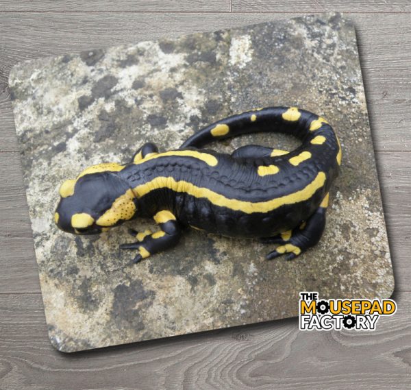 Large Fire Salamander Mouse Pad