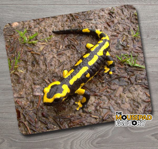 Fire Salamander after the Rain Mouse Pad