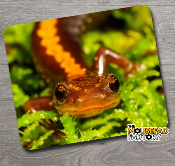 Orange Salamander Newt Mouse Pad